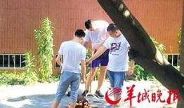 汕头记者爆料最新消息,揭秘汕头某重大事件背后真相